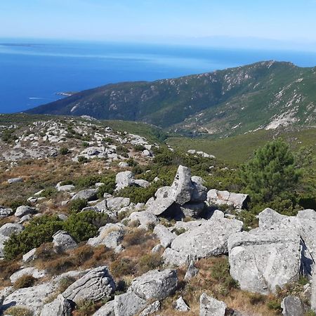 Casa Vacanze Il Pastore Tedesco Портоферайо Екстериор снимка