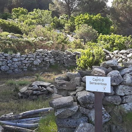 Casa Vacanze Il Pastore Tedesco Портоферайо Екстериор снимка