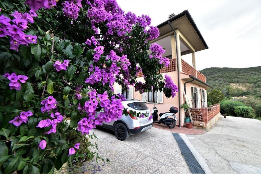 Casa Vacanze Il Pastore Tedesco Портоферайо Екстериор снимка
