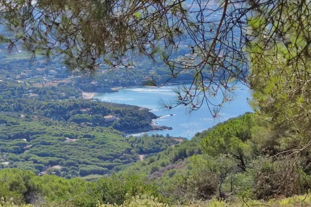 Casa Vacanze Il Pastore Tedesco Портоферайо Екстериор снимка