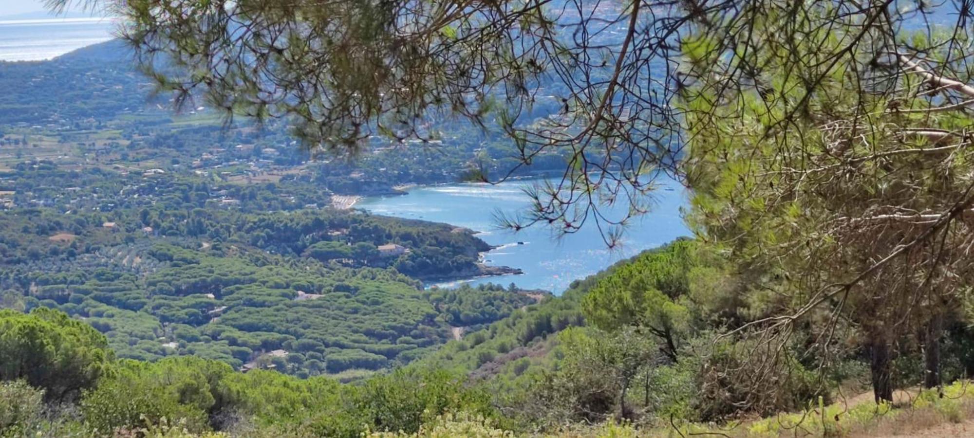 Casa Vacanze Il Pastore Tedesco Портоферайо Екстериор снимка
