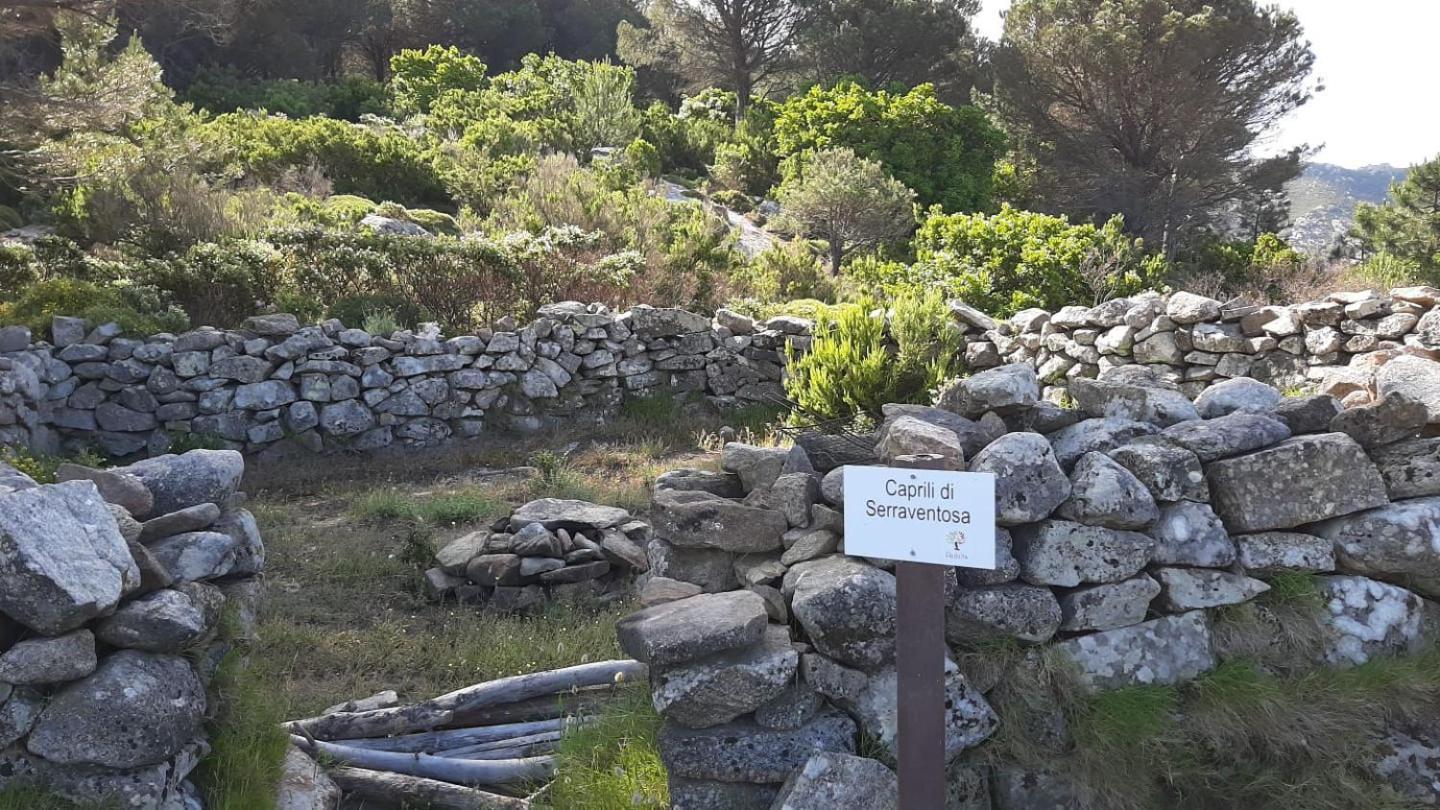 Casa Vacanze Il Pastore Tedesco Портоферайо Екстериор снимка